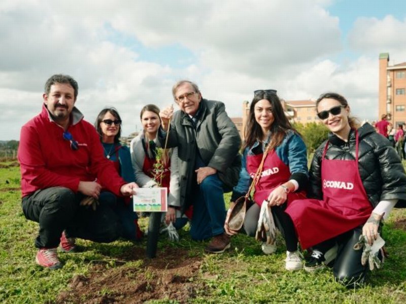 1.000 nuovi alberi trovano dimora a Roma