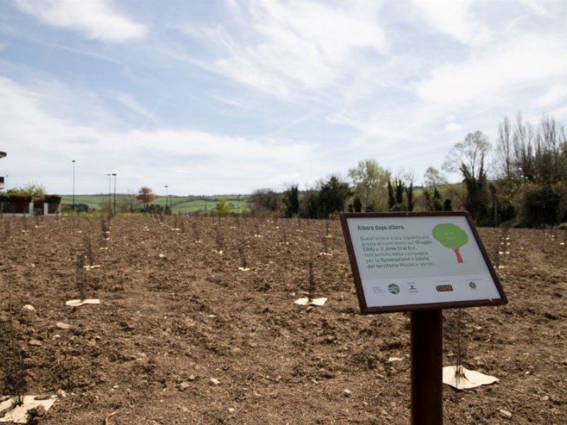 Ama Crai Est: 25.000 pasti salvati e 1.000 alberi piantati