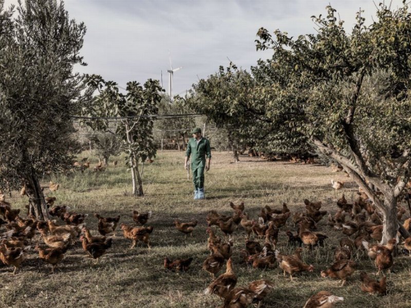 Amadori entra in “Italia del gusto”