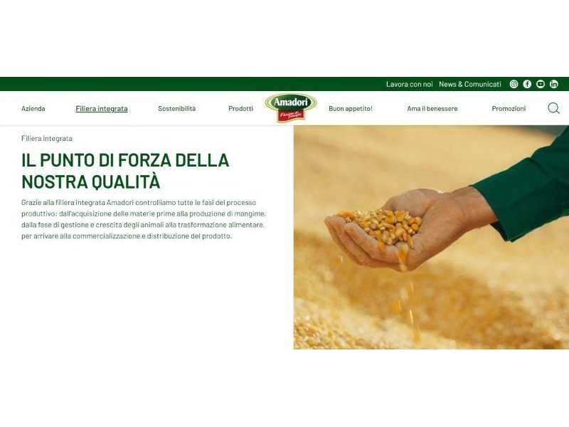 Amadori: il nuovo sito racconta la visione futura di un’azienda simbolo dell’agroalimentare italiano