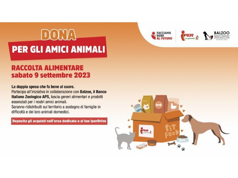 Balzoo e Finiper Canova Group organizzano insieme una raccolta alimentare a favore di cani e gatti