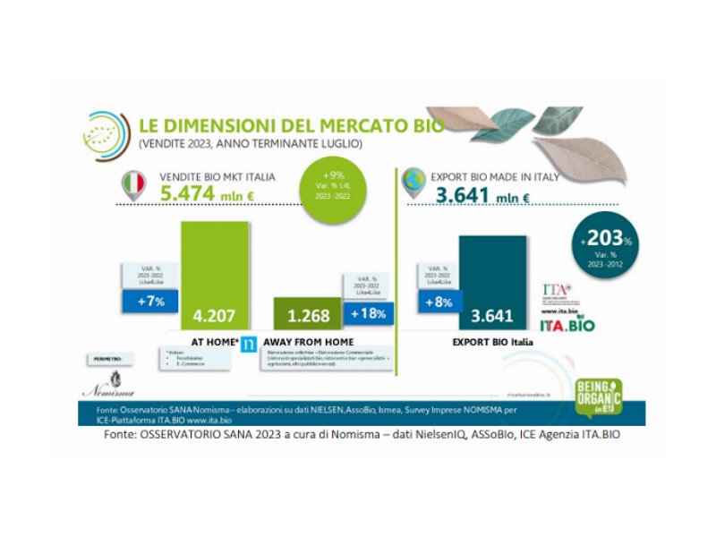 Bio italiano: crescono le vendite sul mercato interno e l’export