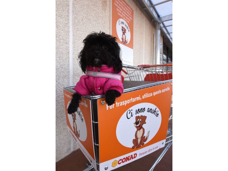 Conad "Pet friendly" di Padova diventa "Spesa facile"