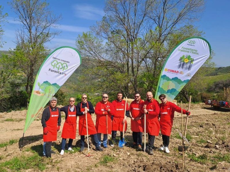 Conad pianta a Cosenza 1.000 alberi per il progetto "Forestiamo insieme l'Italia"