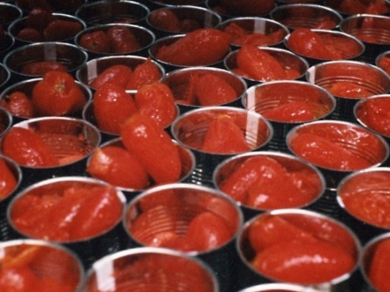 Conserve di pomodoro: 5,4 milioni di tonnellate di prodotto trasformato