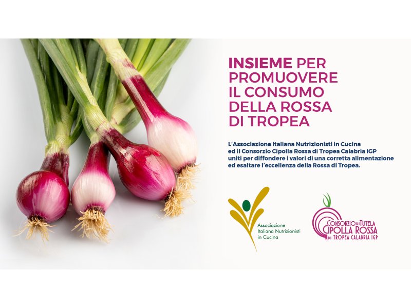 Consorzio cipolla rossa Tropea: un protocollo d’intesa con i nutrizionisti