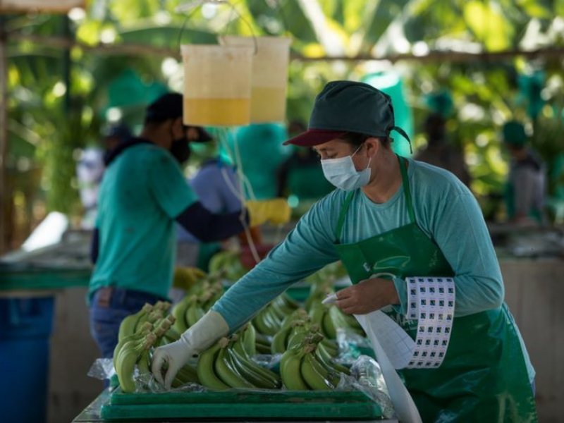 Fairtrade pubblica una nuova Mappa globale sui rischi umani e ambientali