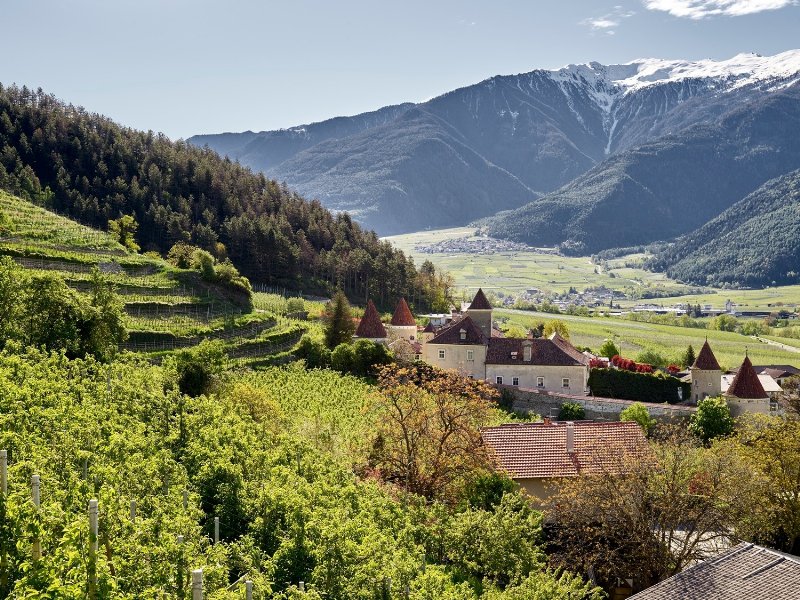 a-tuttofood-lenis-presenta-il-nuovo-succo-di-mela-100-percent-trentito-alto-adige-e-frutti-di-bosco