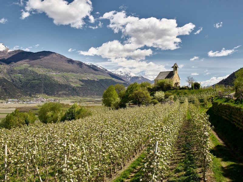 a-tuttofood-lenis-presenta-il-nuovo-succo-di-mela-100-percent-trentito-alto-adige-e-frutti-di-bosco