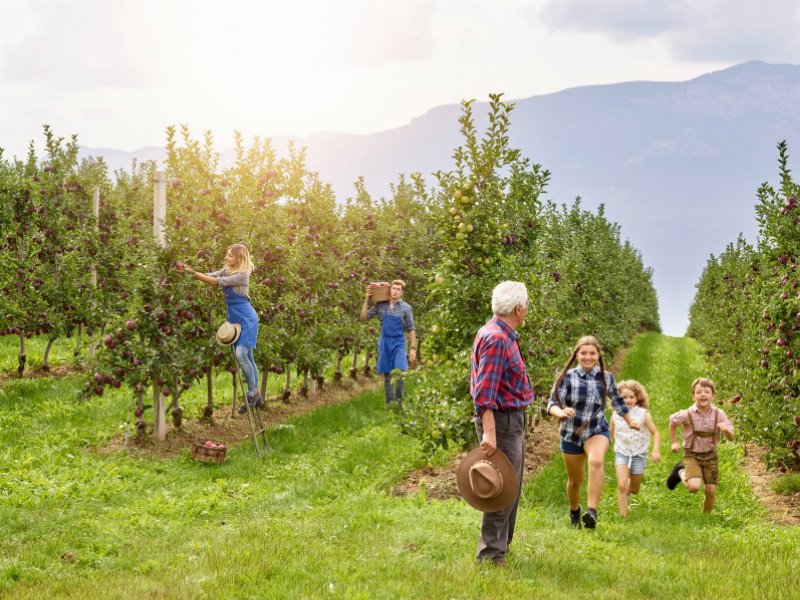 a-tuttofood-lenis-presenta-il-nuovo-succo-di-mela-100-percent-trentito-alto-adige-e-frutti-di-bosco