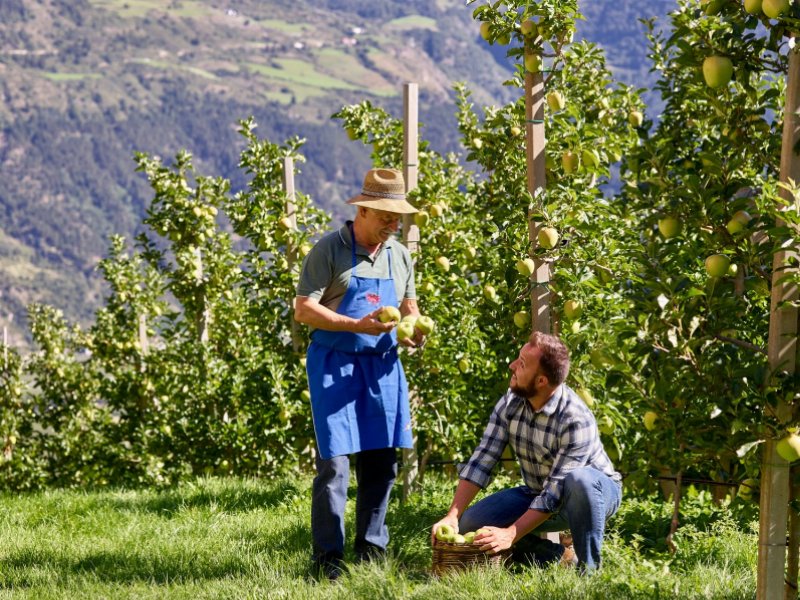 a-tuttofood-lenis-presenta-il-nuovo-succo-di-mela-100-percent-trentito-alto-adige-e-frutti-di-bosco