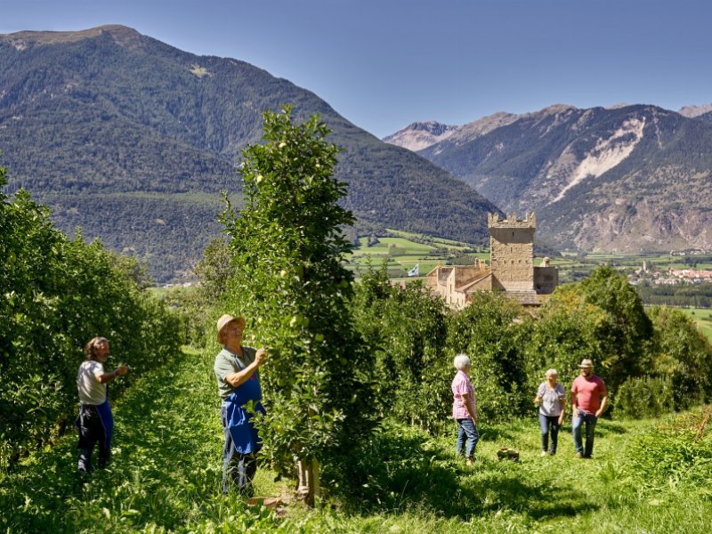 a-tuttofood-lenis-presenta-il-nuovo-succo-di-mela-100-percent-trentito-alto-adige-e-frutti-di-bosco