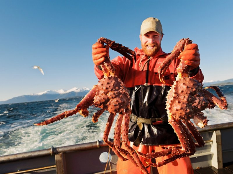 alaska-dove-il-salmone-e-libero-e-sostenibile