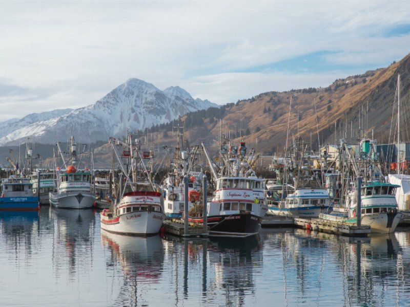 alaska-dove-il-salmone-e-libero-e-sostenibile