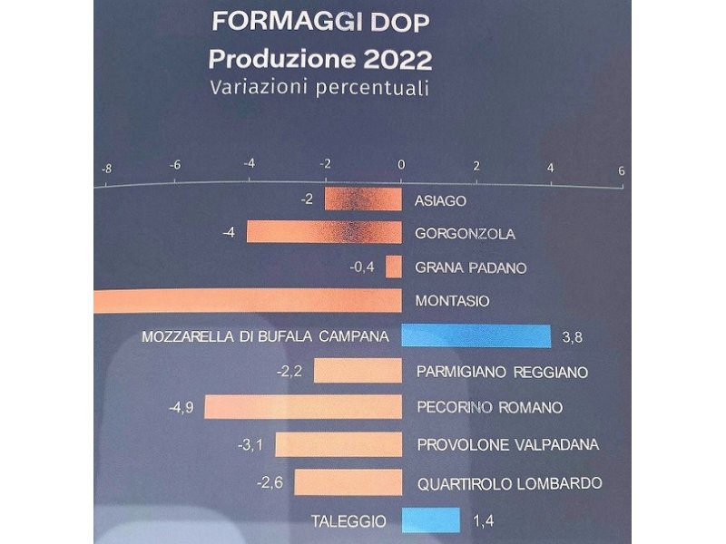 mozzarella-di-bufala-campana-dop-crescono-produzione-ed-export