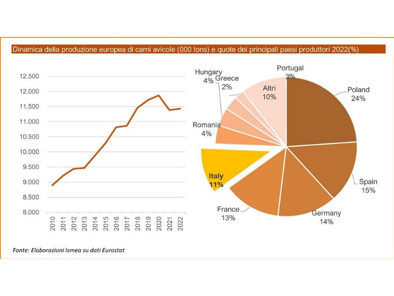 unaitalia-a-rischio-lautosufficienza-dellavicoltura-nazionale