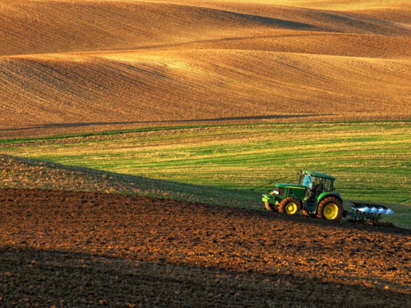 BF dà il via all'aumento di capitale da trecento milioni