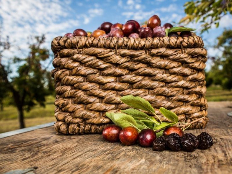  Il California Prune Board rafforza le relazioni commerciali a livello globale