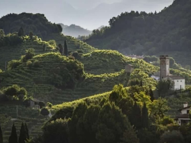 Il Conegliano Valdobbiadene Prosecco Superiore docg all’80° Mostra del Cinema di Venezia