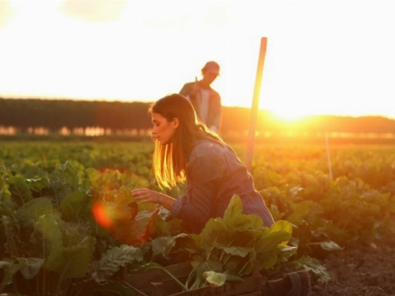 Italia Zuccheri-Coprob e Areté puntano su innovazione e data analytics