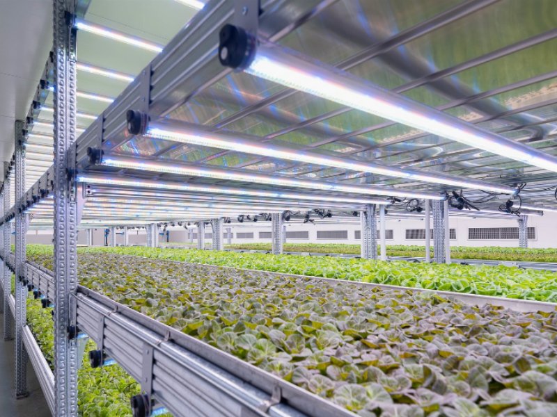 Kilometro Verde inaugura la vertical farm più grande d'Europa