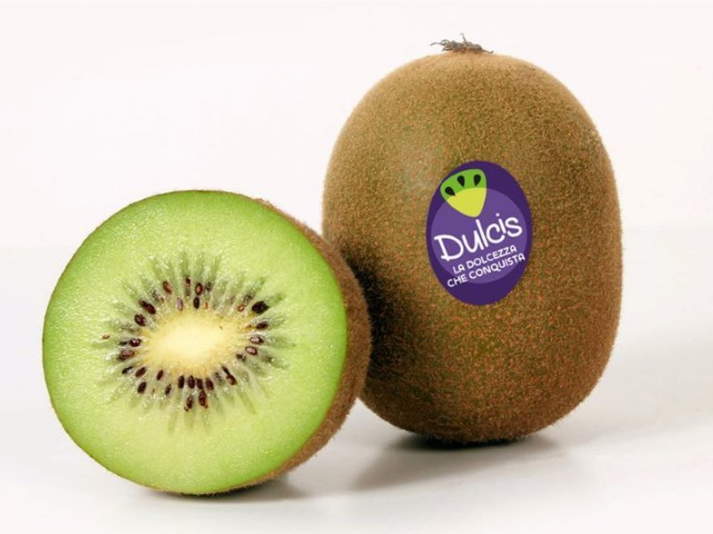 Kiwi: Dulcis inizia la campagna commerciale