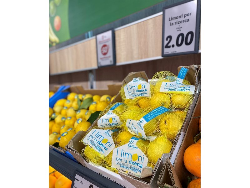 Lidl rinnova il proprio impegno attraverso "I limoni della ricerca"