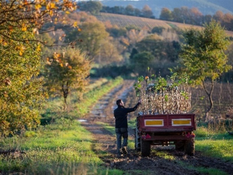 Loacker continua a investire sulla responsabilità di filiera