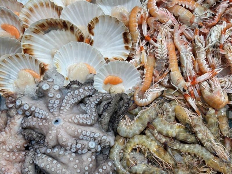 Mercato ittico in Italia, consumo di pesce in crescita: 29 chilogrammi pro-capite