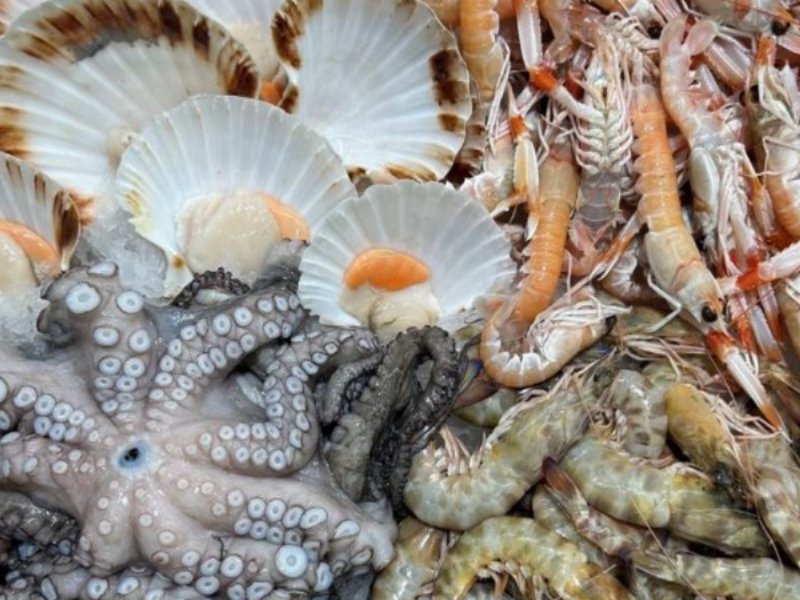 Mercato ittico in Italia, consumo di pesce in crescita: 29 chilogrammi pro-capite