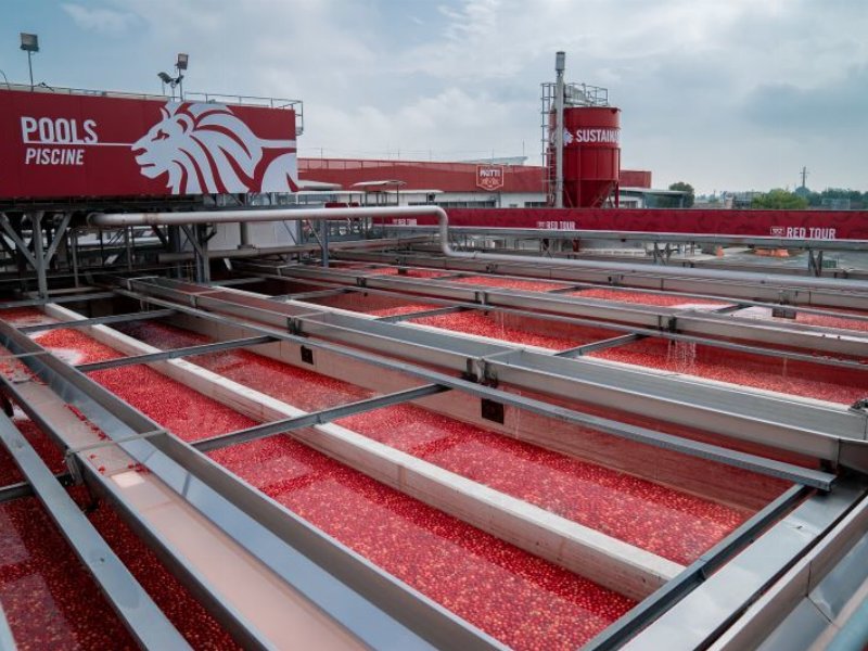 Mutti, 1200 assunzioni per la campagna di lavorazione del pomodoro 2023