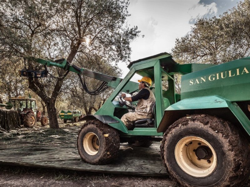 Olio San Giuliano ancora nei Top 10 al mondo