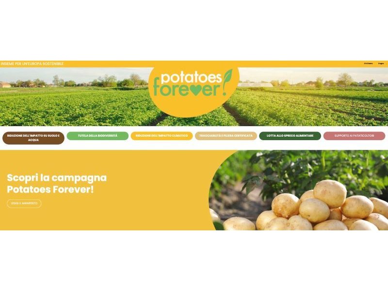 On line il sito web di Potatoes Forever!