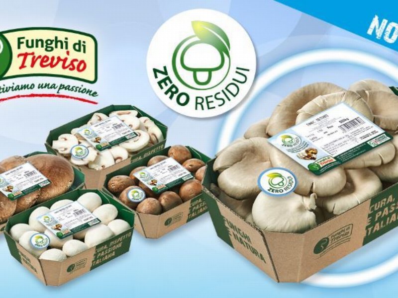 Op Consorzio Funghi di Treviso amplia la sua linea “Zero residui”