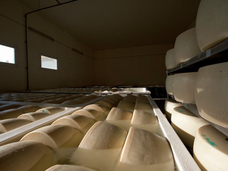 Cento milioni di euro per il Parmigiano reggiano