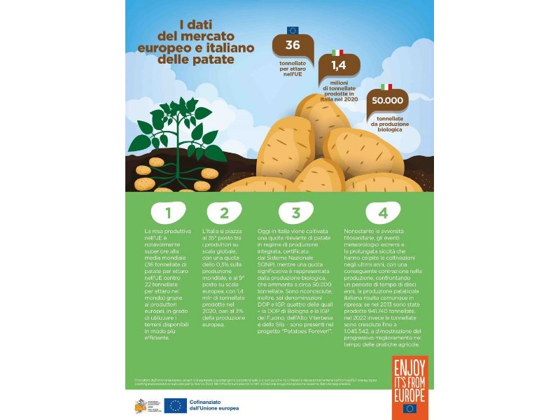 Potatoes forever: una ricerca rivela le conoscenze degli italiani in materia di patate