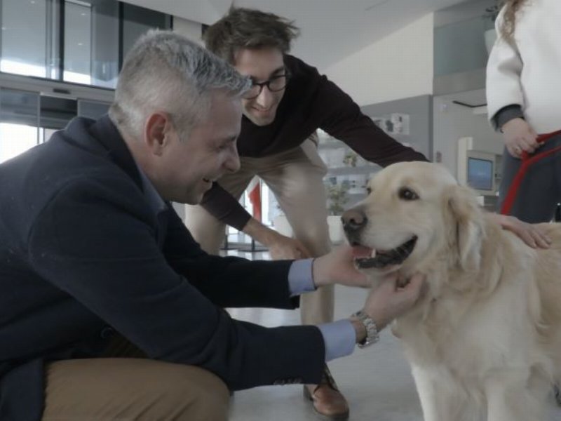 Purina festeggia la Giornata del cane in ufficio con il progetto Pets at Work