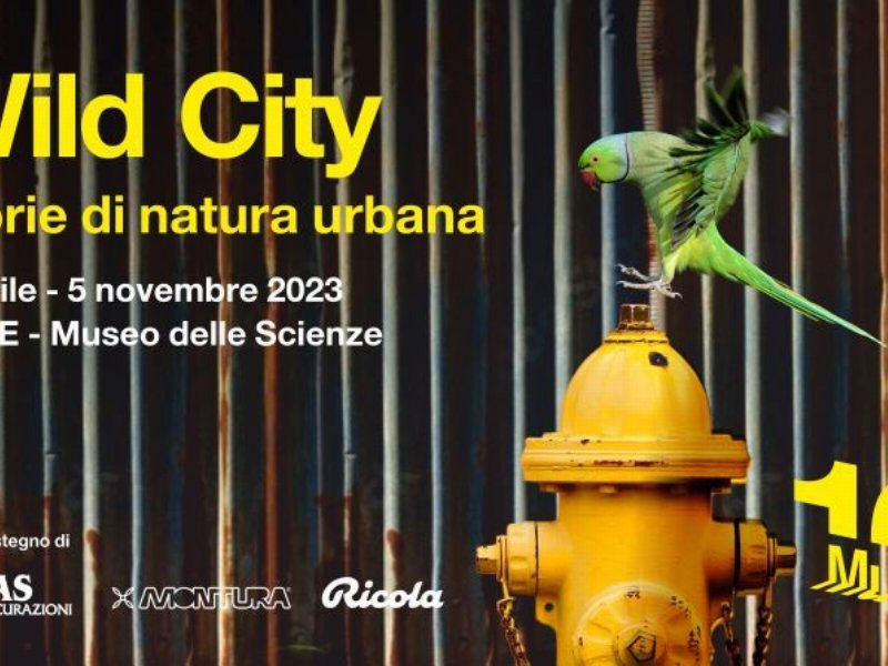 Ricola sostenitore della mostra Wild City al Museo delle Scienze di Trento