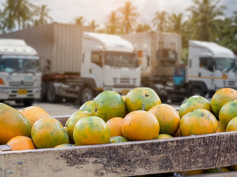 Tris logistico per Conad che investe a Pistoia, Taranto e Torino