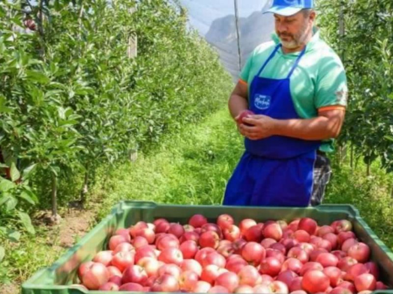 Vog, bilancio annuale: soddisfazione nonostante la stagione difficile