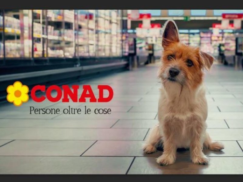 Debutta la nuova campagna Conad