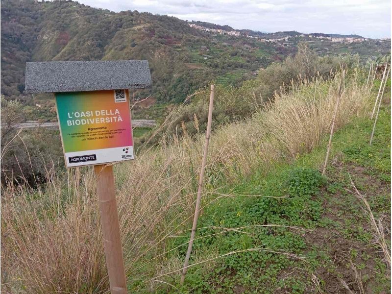 Agromonte celebra le Giornate mondiali delle api e della biodiversità