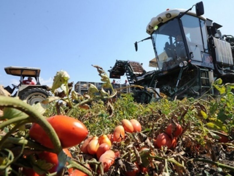 Anicav a Foodex per promuovere le conserve rosse made in Italy