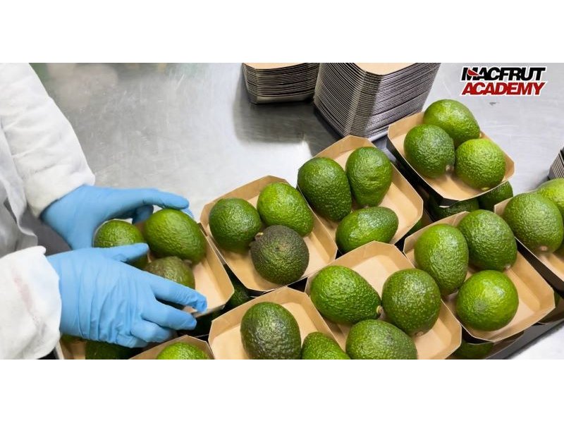 Avocado e Mango: boom in Italia