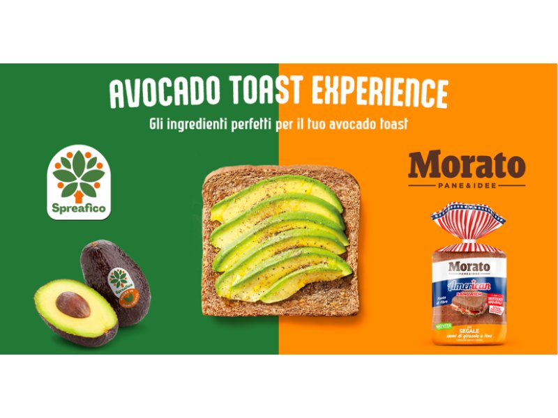 “Avocado toast experience”: co-marketing di Spreafico e Morato