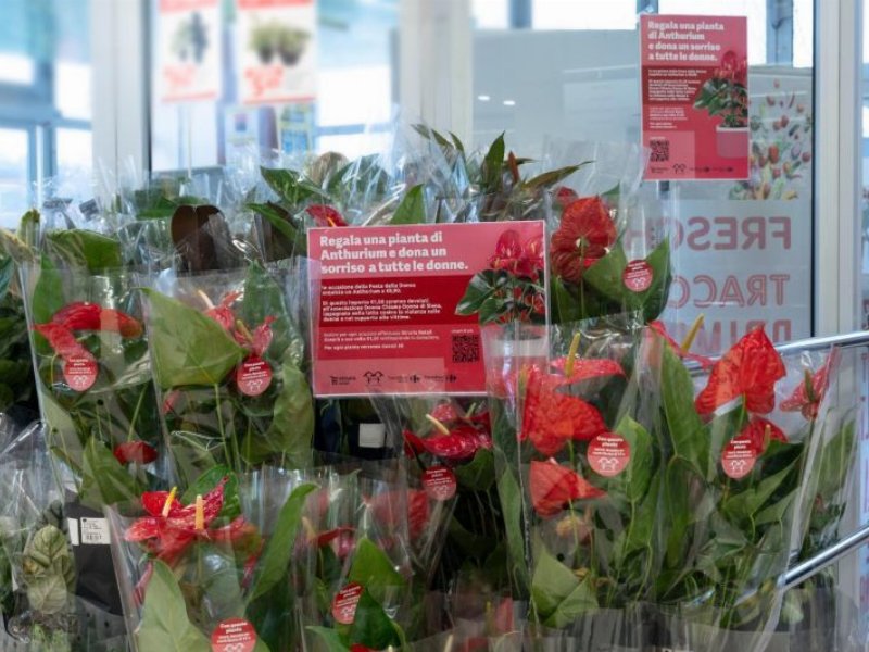 Festa della donna, da Etruria Retail una pianta contro la violenza