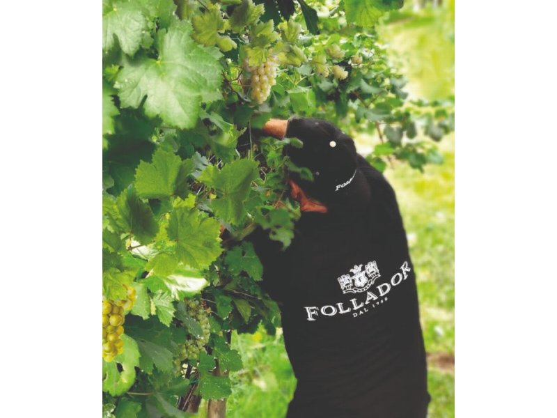 Follador Prosecco punta alla produzione 100% green entro il 2025