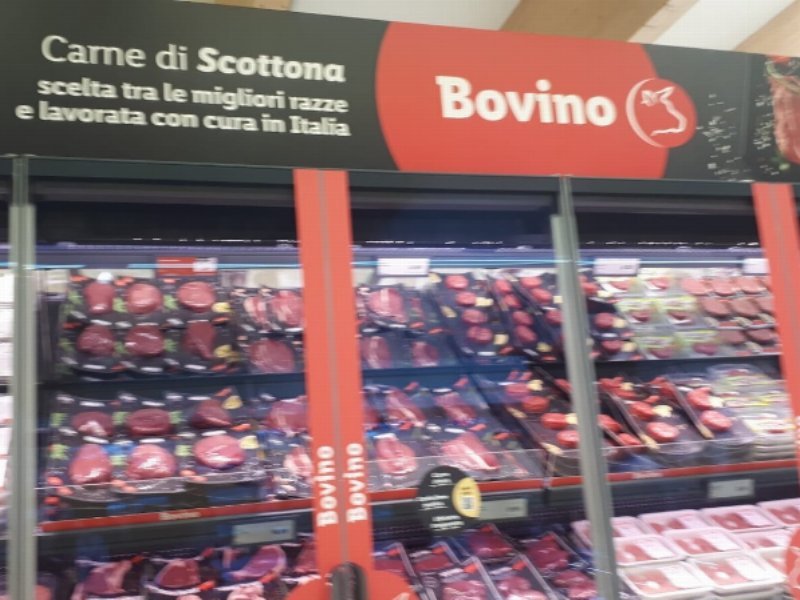 lidl-apre-a-villafranca-di-verona-lo-store-piu-sostenibile-della-catena