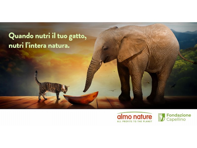 quando-nutri-il-tuo-gatto-nutri-lintera-natura