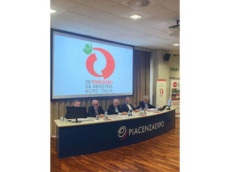 Gli accorpamenti fanno bene alla competitività delle industrie di trasformazione del pomodoro